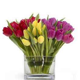Red, yellow, and purple tulips arranged in a low rectangular clear glass vase