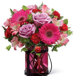 Pink Exuberance