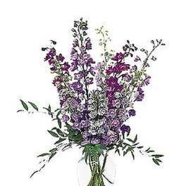 Tall arrangement of purple and white flowers in a clear glass vase