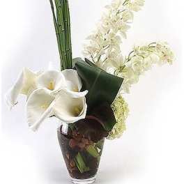 Tall modern arrangement of white calla lilies and orchids with vertical green stalks in a clear glass vase