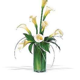 Tall arrangement of white calla lilies in a clear glass vase with wrapped green foliage