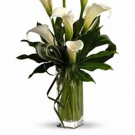 Tall arrangement of white calla lilies with sculpted green foliage in a clear glass vase