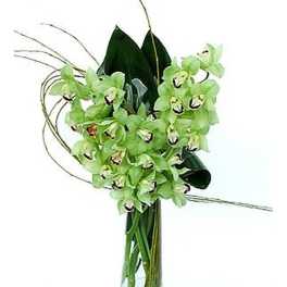 Tall arrangement of green cymbidium orchids in a clear glass cylinder vase