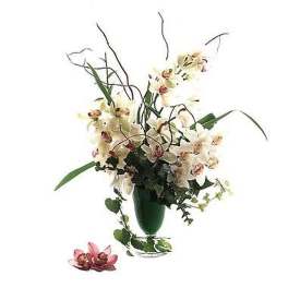 Tall arrangement of white cymbidium orchids in a green glass vase with two pink blooms at the base