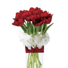 Tall glass vase with red tulips and white hydrangeas wrapped with a red band