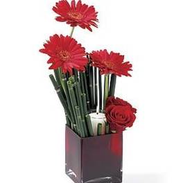 Modern arrangement of red gerbera daisies and roses in a red cube vase with a white candle.