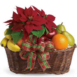 Wicker basket of assorted fruit with red poinsettias and a red and green plaid bow