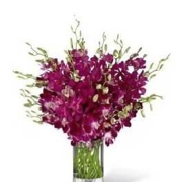 Orchid Bouquet