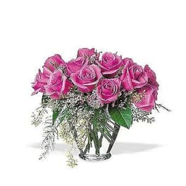 Lavender Roses
