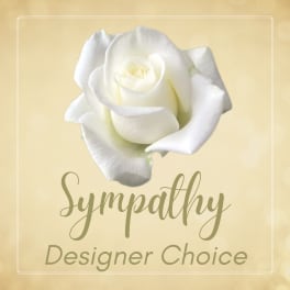 White rose on a pale yellow sympathy card