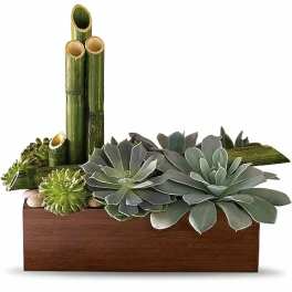 Teleflora's Peaceful Zen Garden