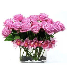 Pink Passion