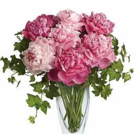 Teleflora's Perfect Peonies
