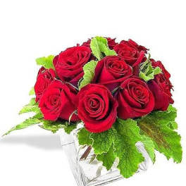 Red Rose Cube