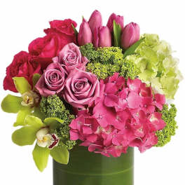 Compact arrangement of pink roses, tulips, and hydrangeas with green orchids in a glass cylinder vase