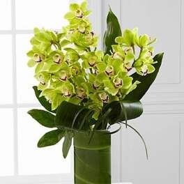 Tall arrangement of green cymbidium orchids with large tropical leaves in a clear glass cylinder vase