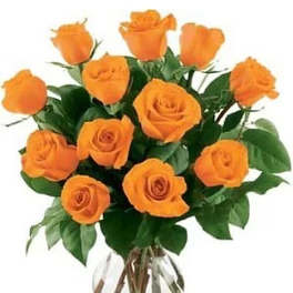 Dozen Orange Roses