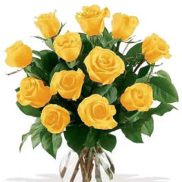Dozen Yellow Roses
