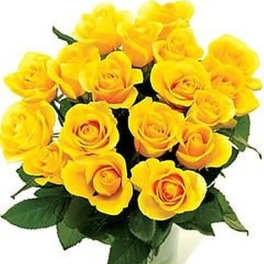 18 Yellow Roses