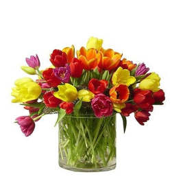Low glass vase filled with bright mixed tulips in red, yellow, orange, and pink.