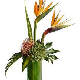 Tall tropical arrangement with birds of paradise, succulent, and protea in a green glass vase