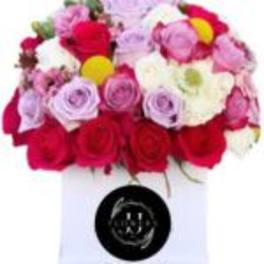 Bouquet of red, pink, and lavender roses in a white vase