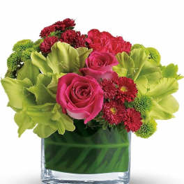 Low round arrangement of hot pink roses, green orchids, and red mums in a clear glass vase