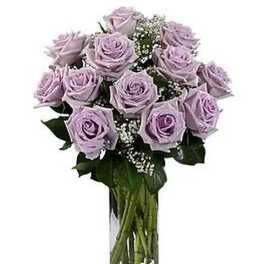 Dozen Lavender Roses