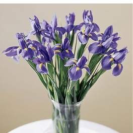 The FTD Blooming Iris