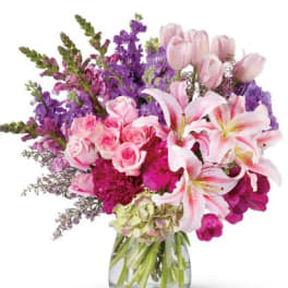 Royal Radiance