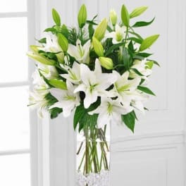 White Lilies