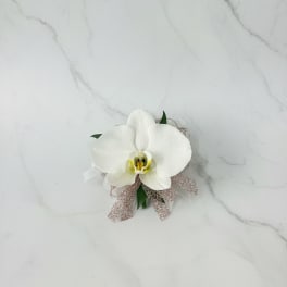 Orchid Corsage