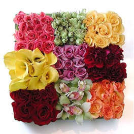 Square modern arrangement of roses, calla lilies, orchids, and other blooms in colorful blocks.
