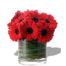 Compact arrangement of red gerbera daisies in a clear glass cylinder vase.