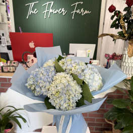 Bouquet of pale blue and white hydrangeas wrapped in light blue paper