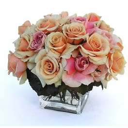 Rose Extravaganza