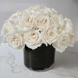 White Elegance