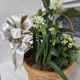 Multi Plant Basket