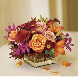 Low arrangement of orange and pink roses, lilies, and orchids in a clear glass cube vase