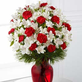 Red carnations and white alstroemeria arranged with pine in a red glass vase