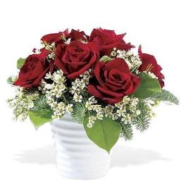 Ravishing Roses