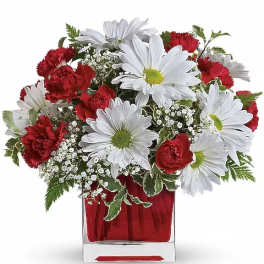 Red And White Delight by Teleflora