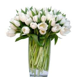 Tall clear vase filled with many white tulips arranged in a dense, rounded display