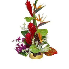 Tall tropical arrangement with red gingers, birds of paradise, orchids, and green anthuriums in a gold container