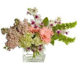 Low pastel arrangement with pink gerbera daisies, hydrangeas, orchids and green blooms in a clear glass cube vase