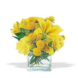 Compact arrangement of yellow lilies, carnations, and button mums in a clear glass cube vase