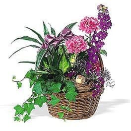 Basket of green plants with trailing ivy, pink flowers, and purple blooms, topped with a ribbon and small bird figurine