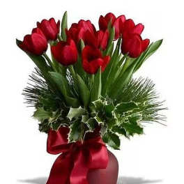 Tulip Tidings