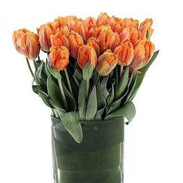 Cluster of orange tulips arranged in a clear glass cylinder vase wrapped with green leaves
