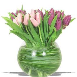 Pink and purple tulips arranged in a round clear glass bowl vase wrapped with green foliage